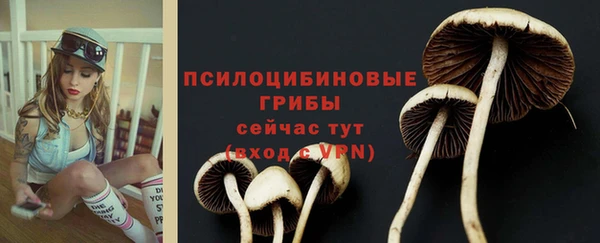 apvp Армянск